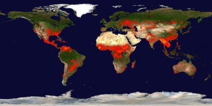 Fire Satellite Imagery