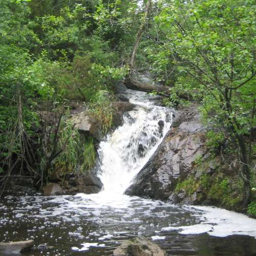 Long Meadow Brook Falls